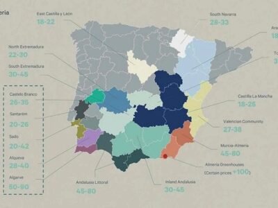 EL AGRO COMO ACTIVO ESTRATÉGICO: INVERSIÓN, SOSTENIBILIDAD Y TECNOLOGÍA EN EL NUEVO PARADIGMA GLOBAL