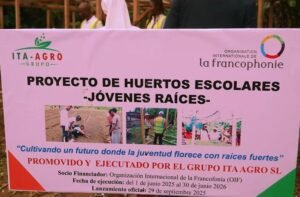 VideoCapture_20250930-191749-741x486
