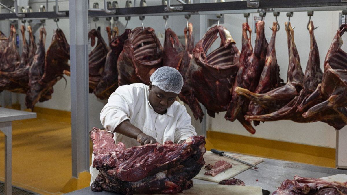 Camerún apuesta por tres mataderos industriales en 2026 para reducir el déficit de carne y dinamizar el sector agroindustrial