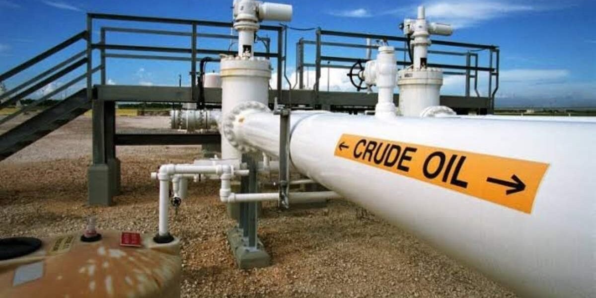 Perenco impulsa la producción petrolera en Chad con un salto del 50 %: el país acelera su meta de 250.000 barriles diarios para 2030