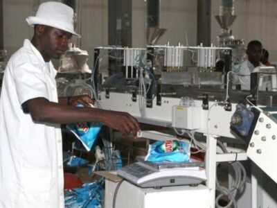 Camerún registra más de 21.000 nuevas PME y consolida su tejido empresarial en 2024