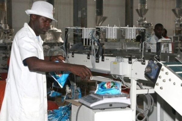 Camerún registra más de 21.000 nuevas PME y consolida su tejido empresarial en 2024