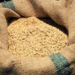 Camerún destina 9.000 millones de FCFA para reactivar la producción arrocera y reducir la dependencia de importaciones