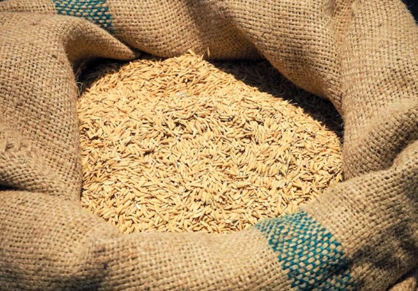 Camerún destina 9.000 millones de FCFA para reactivar la producción arrocera y reducir la dependencia de importaciones