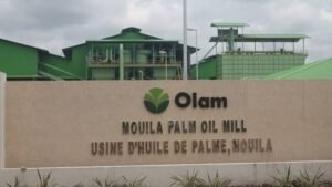 Producción de aceite de palma en Gabón se desploma en 2025: OLAM Palm registra fuerte caída en el primer semestre