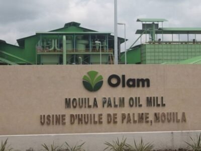 Producción de aceite de palma en Gabón se desploma en 2025: OLAM Palm registra fuerte caída en el primer semestre