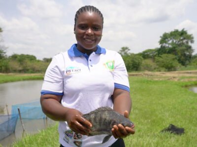 El sector pesquero impulsa el empleo y refuerza la seguridad alimentaria en Costa de Marfil