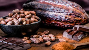 Cacao: Sucden asegura financiación del BAfD por 65.500 millones de FCFA para reforzar su aprovisionamiento en Costa de Marfil