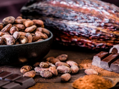 Cacao: Sucden asegura financiación del BAfD por 65.500 millones de FCFA para reforzar su aprovisionamiento en Costa de Marfil