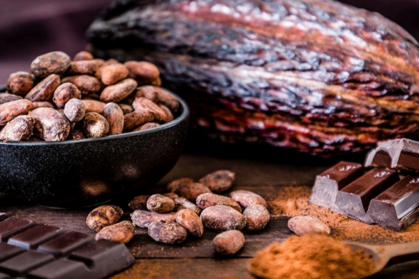 Cacao: Sucden asegura financiación del BAfD por 65.500 millones de FCFA para reforzar su aprovisionamiento en Costa de Marfil