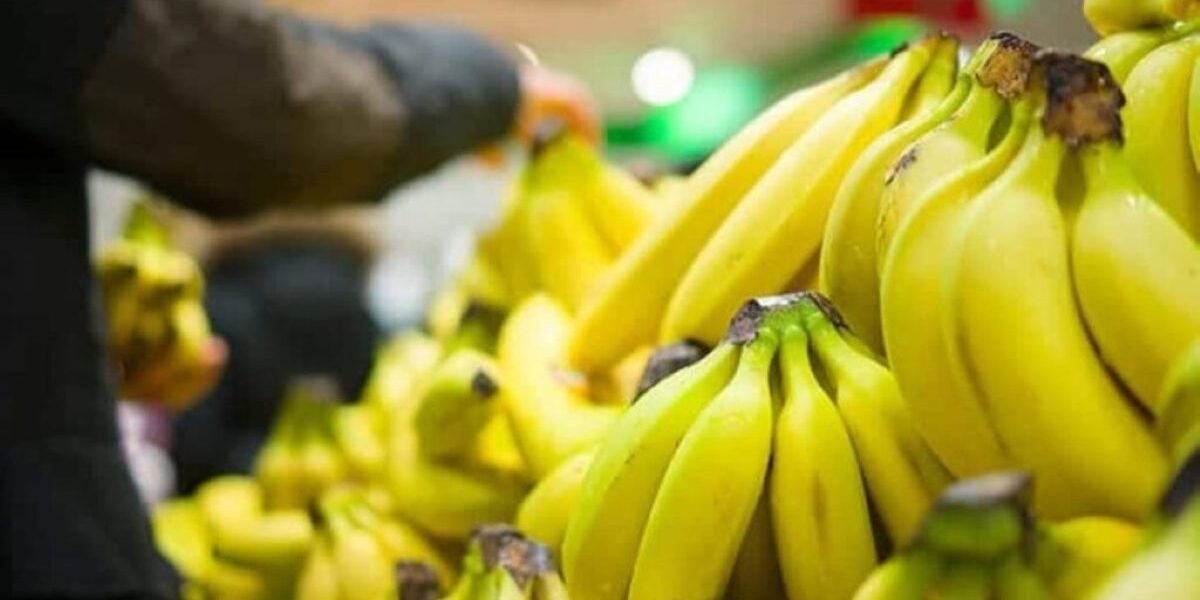 Camerún frena el auge exportador del banano africano