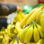 Camerún frena el auge exportador del banano africano