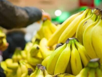 Camerún frena el auge exportador del banano africano