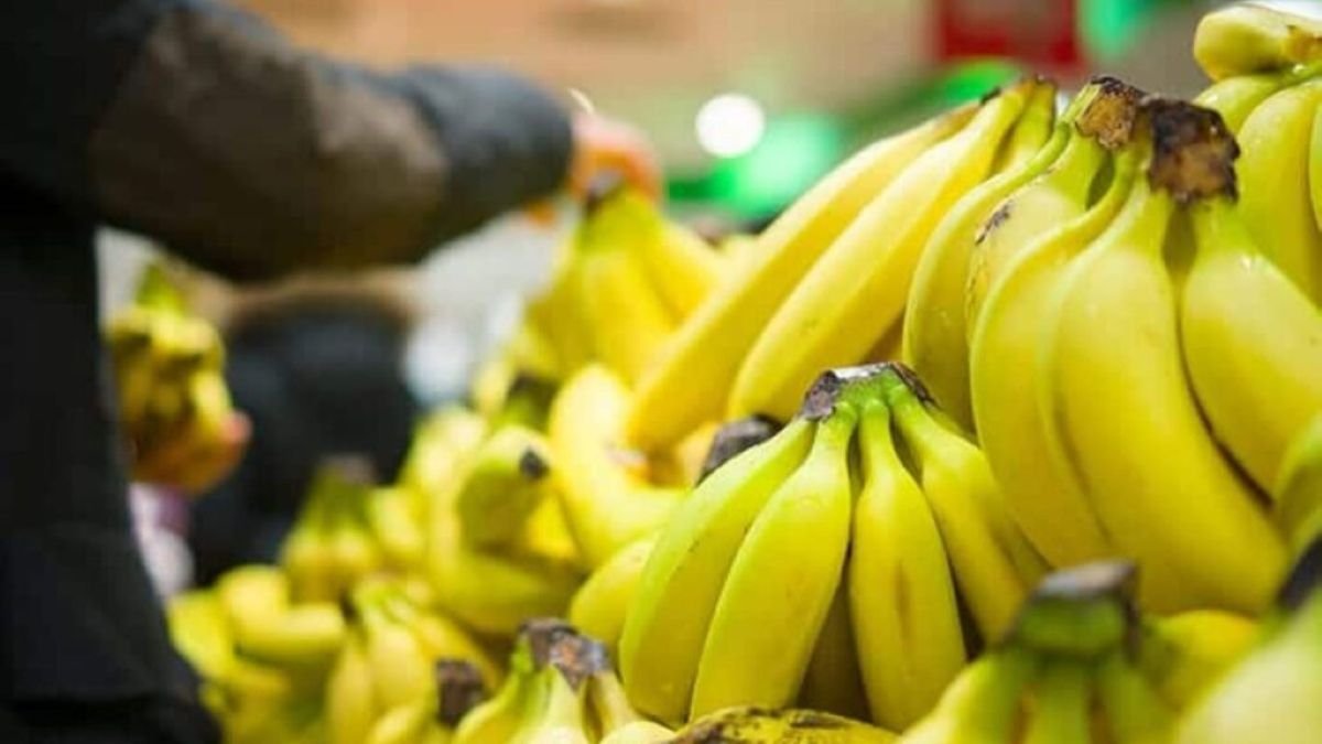 Camerún frena el auge exportador del banano africano