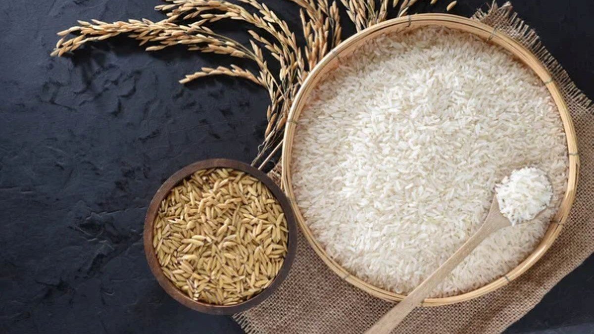 Camerún apuesta por la autosuficiencia arrocera con una inversión de 98.000 millones de FCFA