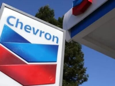 img-20260408-wa00517770187481404294208