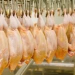 La CEMAC refuerza su dependencia del pollo brasileño con compras que superan las 70.000 toneladas