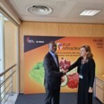 El Alto Consejo de Negocios prepara su participación empresarial en Fruit Event Attraction 2026