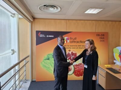 El Alto Consejo de Negocios prepara su participación empresarial en Fruit Event Attraction 2026